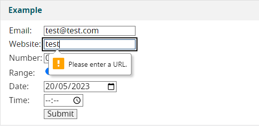 A form containing several input fields. The error message "Please enter a URL" is displayed next to the "Website" field