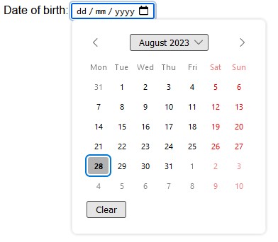 A date picker labeled 'Date of birth' with an extra date field allowing manual entry