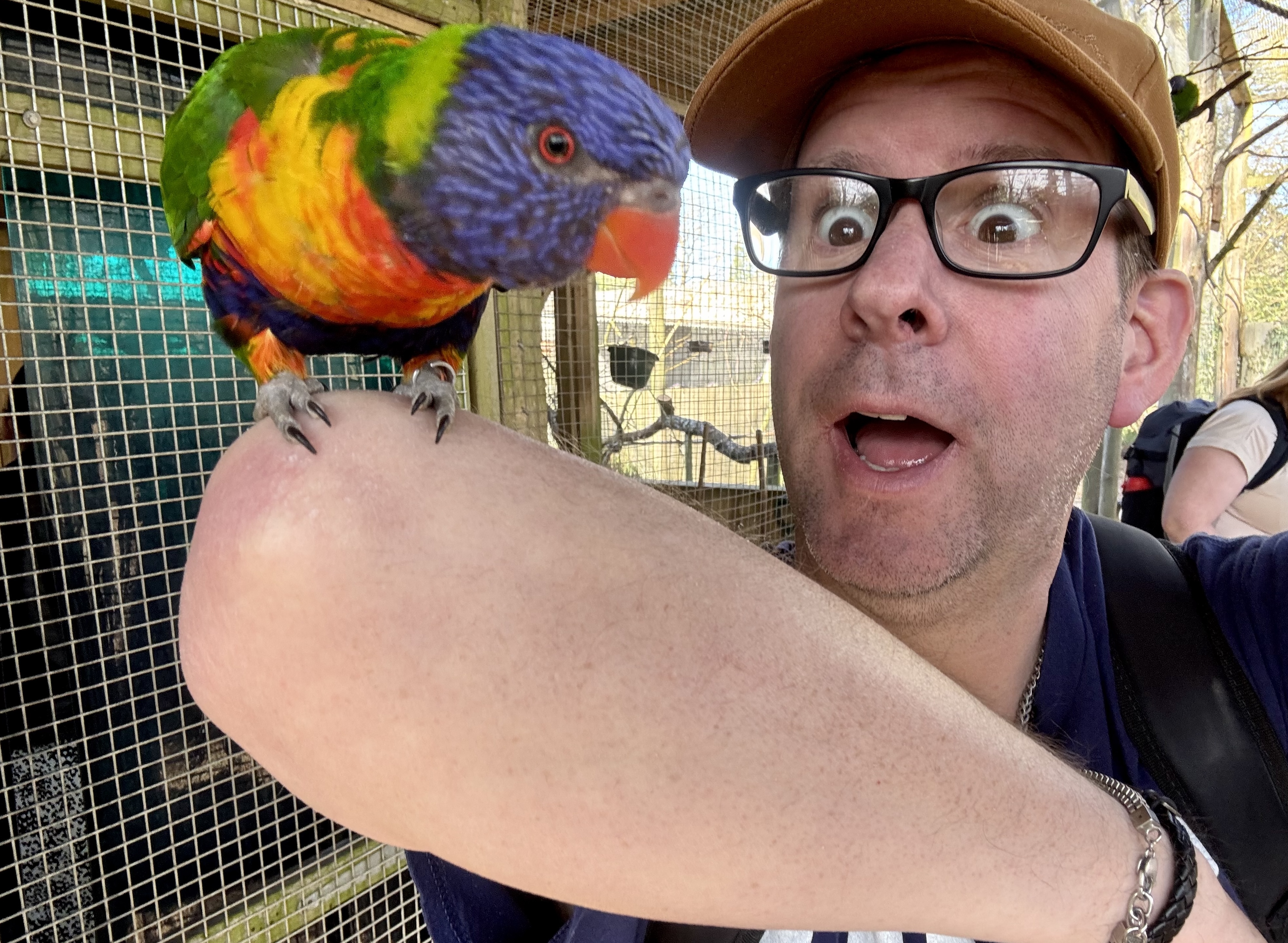 Lloydi pulling a silly face at a brightly-coloured rainbow lorikeet bird perching on his arm