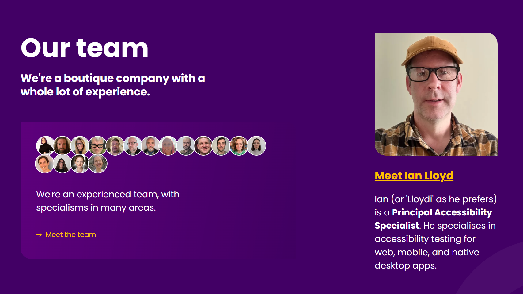 The "Our team" section on the TetraLogical homepage, containing the Heading "Our team", the text "We're a boutique company with a whole lot of experience", and 16 small avatars followed by the text "We're an experienced team, with specialisms in many areas" and the link "Meet the team". To the right of this content a larger image of one of the team members and a link to their bio is available