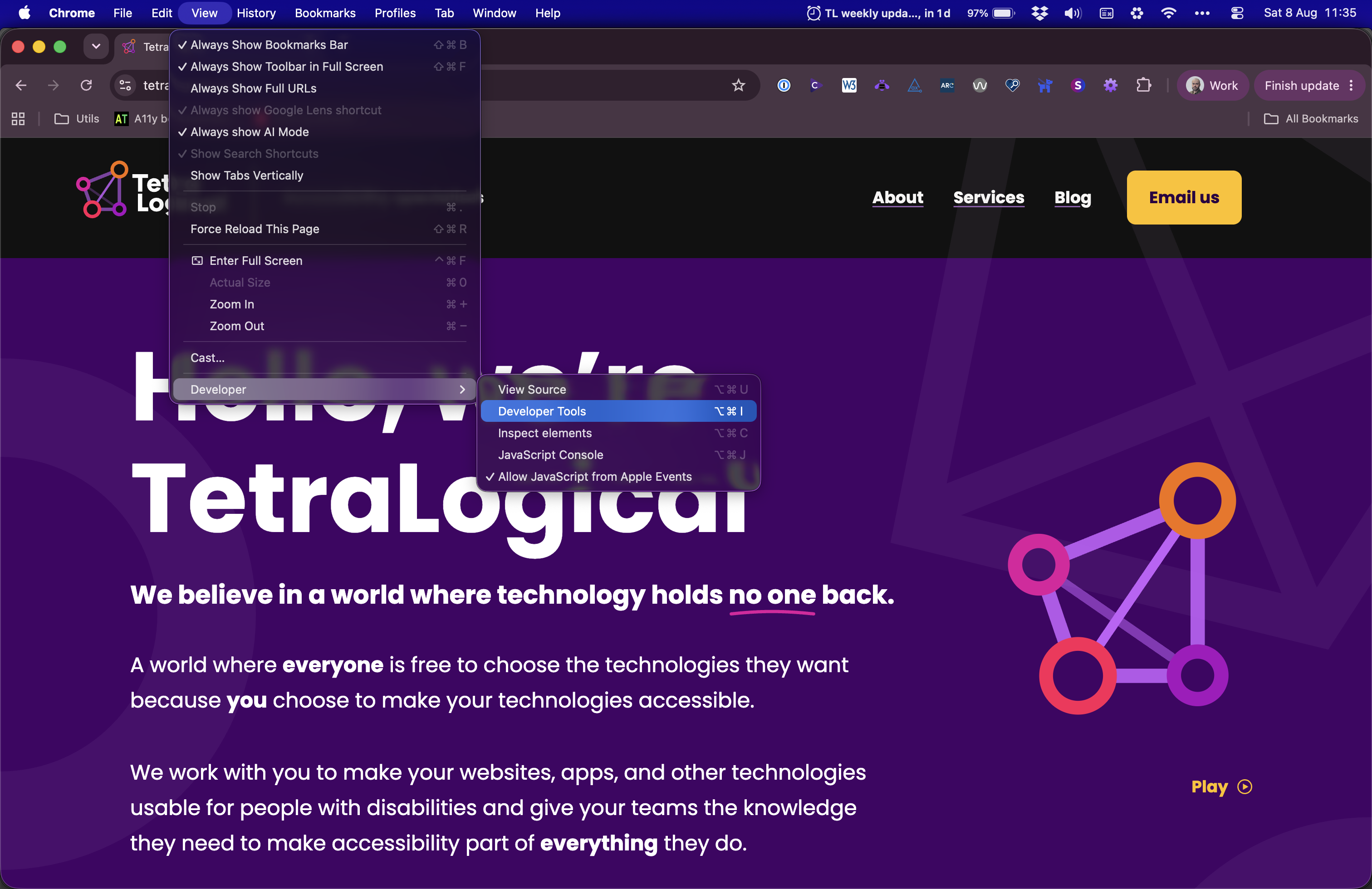 A Chrome window showing the TetraLogical website. The view menu is open, with developer expanded, and developer tools highlighted.